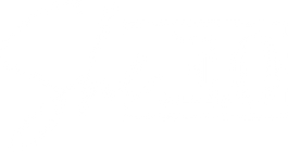 She.e.o